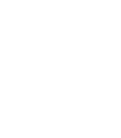 ZBS Capital